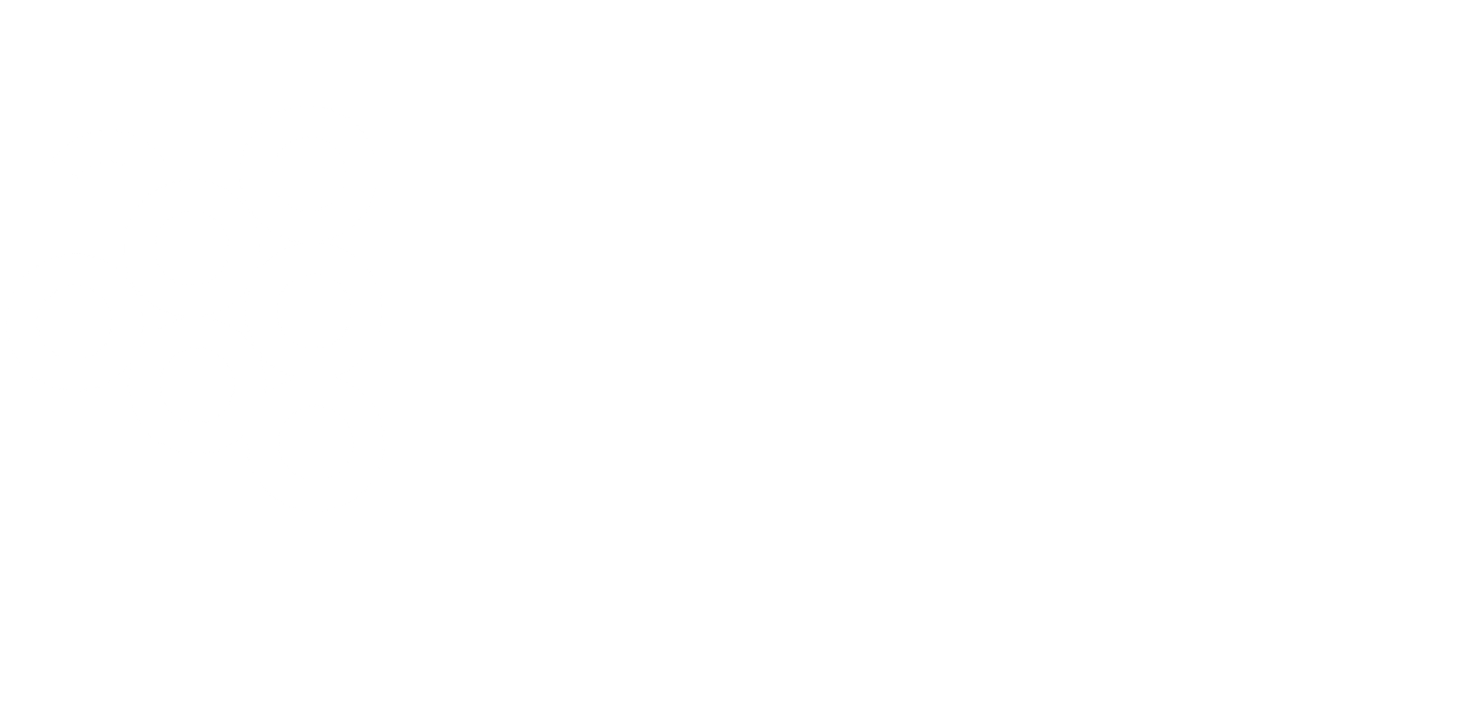 VIDE